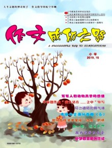 作文成功之路·小学期刊
